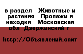  в раздел : Животные и растения » Пропажи и находки . Московская обл.,Дзержинский г.